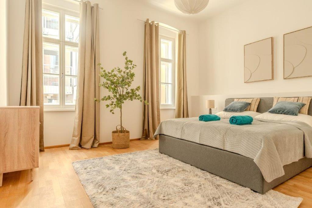 Deluxe Near The Center Apartment